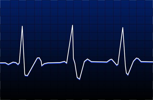 Heart rate vs power training